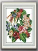 WREATH Flowers Handgjorda Cross Stitch Craft Tools Brodery Nålarbetet räknade tryck på duk DMC 14CT 11CT304I244F2310028