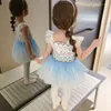 Stage Wear Ballet Justaucorps pour enfants Robe de danse professionnelle Enfants Princesse Performance Costumes Outfit Filles