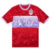 23 24 Boreale Calcio Maillots de football pour hommes Accueil Violet Blanc 3ème Gardiens de but Chemises de football rouges Uniformes à manches courtes