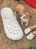 Mats Large Hole Shoes Cat Litter Summer Creative Funny Seaside Toy Cat Litter Kennel Shooting Video Props Cat Beds