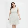 Sukienki sukienki plus size eleganckie 2021 Summer V Szyja luźna swobodna koronkowa czysta biały wzór naprawa talia