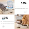 Alimentazione Alimentatore automatico per animali domestici da 3,8 litri Fontana per gatti di grande capacità Bottiglia d'acqua per cani in plastica per animali domestici Ciotole Distributore di acqua