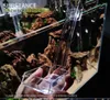 Feeders Fish tank feeding tube glass feeder transparent acrylic feeder fish shrimp turtle universal feeding aquarium accessories S. M. L