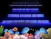 Lights Populargrow 54W / 81W / 108W LED Aquarium Light avec seulement 470 nm Blue Spectrum Strip Light Beau