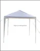 Ombra Giardino Edifici Patio Prato Casa 10X10 Baldacchino Festa Matrimonio Tenda Heavy Duty Gazebo Padiglione Catering Evento Outdoor Drop Deliver8467620