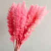 Decoratieve bloemen 15 stks Pampas Grass Decor Fluffy Small riet Gedroogd Valentine Gift Ideaswedding Decorations Wedding For Guest