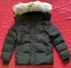 Chaqueta de invierno para hombre, chaqueta acolchada de ganso para hombre, ropa de abrigo para exteriores Jassen, piel de coyote real, cálida con capucha, resistente al viento, impermeable, acolchada, gruesa, Parka Hiver Doudoune