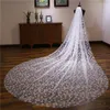Brudslöjor L Retro Luxury Lace Champagne Veil Single Layer 3M Cathedral Tail Wedding Accessories