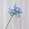 Dekoratif çiçekler güzel Afrika Agapanthus Şube Yapay İpek Düğün Dekorasyon Odası Dekor Fleurs Yapıcıs Çelenk