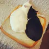 Tapis pain chats lit Toast pain tranche Style tapis pour animaux de compagnie coussin doux chaud matelas lit pour chats chiens chat accessoires