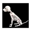 Party Dekoration Halloween Skeleton Dog Prop Tierknochen Shop Horror Skl Props Y201006 Drop Delivery Hausgarten Festliche Lieferungen Ev Dhbsg