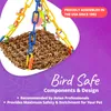 Toys New Mini Flying Trapeze Toy stora plantskolor för fåglar Swing Toy Lovebird Finch Cage Perch Pet Supplies