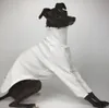 Hondenkleding Pure Color tweebenige kleding Greyhound Whippet jas Stretch comfortabele pyjama 231127