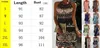 Spring And Summer Ethnic Dress Style Positioning Printed Mesh Sleeveless Casual