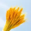 Decorative Flowers 50Pcs Bunch Wheat Ears Barley Dried Flower Bouquet DIY Wedding Party Decoration Eid Mubarak 2023 Bridal