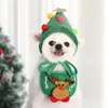 Abbigliamento per cani Cappello natalizio per cuccioli di gatto Vacanza Festa Vestire Divertenti vestiti autunnali invernali Articoli per animali domestici