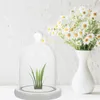 Decorative Flowers Cheese Cake Glass Cover Food Candlestick Decor Dust-proof Eternal Flower Wedding