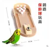 トレーニングパロットおもちゃXUAN FENG KONG MONK MONK BIRD TOY PUZZLE TRAINING装置PROP MINI BOWLING