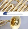 4-Key French Horn Single Horn with Gold Lacquer Bb Tone Brass Body with Yellow Brass Material