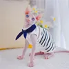 Kläd Navy Style Sphynx Cat Apparel Sailor Kitty Kläder som bär komfort vår sommarhårfri husdjursfilm mode