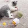 Toys Egg cat swing ball toys with soft plush ball decoration cat teaser toy interactive catching game supplies for pets popular goods