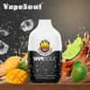 Vapesoul V-Dual 5000 Puffs Box Design Dual Flavors Mod Перезаряжаемый вейп премиум-класса Пусть ваша душа улыбнется!