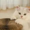 Brinquedos hoopet órgão mágico gato placa de risco brinquedo resistente ao desgaste ondulado favo de mel placa de risco com sino gato brinquedo interativo
