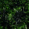 Dekoracyjne kwiaty wieńce choinki Pine wstążki do girland streamery świętują rok sufit wiszący wystrój domu