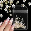 Dekoracje gwoździów 4.5G Flower Flower Paznokcie dekoracja mieszana rozmiar biały dżernestony srebrne klejnot manicure