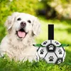 Speelgoed Hondentandjes Speelgoed Ballen Duurzaam Hond IQ-puzzel Kauwspeeltjes voor puppy Kleine Grote Hondentanden Interactieve Hond Voetbal Speelgoedbal