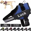 Dog Harness Vest ID Patch Anpassad reflekterande andningsbar justerbar husdjurssele för hund No Pull Pet Outdoor Harness