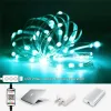 USB Fairy String Lights 2M 5M 10M 20M Waterproof 16 Colors Changing Bluetooth Sliver Wire Lights for Craft Bedroom Ceiling Christmas