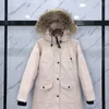 Jaqueta canadense feminina jaquetas reais coyote pele femme puffer blusão ao ar livre jassen veste outerwear com capuz fourrure manteau para baixo casaco hiver parka doudoune