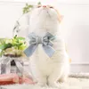 Cat Collars Leads KISSURPET Fashion Cute Neck Bowknot Collar Collana Butterfly Tie Decorazione Puppy Pet Princess Strap Kittens Ornament