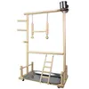 Zit Parrots Parrots Playground Natural Wooden Parrot Parch Gym Play Stand Parakeet Ladders met feederbekers en speelgoedbeweging spelen