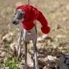 Other Dog Supplies Whippet Winter Woolen Hat Red Pet italian Greyhound Christmas Gift With Fur Ball 231128