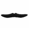 Autres fournitures de fête festives Festives Fausse Moustache Halloween Décorations Cosplay Costume Nouveauté Drôle Barbe Guidon Moustaches Dhnvw