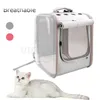 Transportadora para cães e gatos, bolsa transportadora para transporte de cães pequenos, confortável e portátil