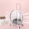 Borsa per il trasporto Borsa per gatti Cani Borsa per bagagli con ruote Scatola per bolle Borsa per trolley portatile impermeabile per animali domestici per cuccioli di cani di piccola taglia e gattini