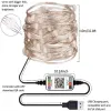 USB Fairy String Lights 2M 5M 10M 20M Waterproof 16 Colors Changing Bluetooth Sliver Wire Lights for Craft Bedroom Ceiling Christmas