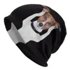 Boinas Jack Russell Terrier Skullies Gaelies Gorros para hombres Mujeres Unisex Streetwear Winter Warm Torn Hathited Dog Lover sombreros de capó