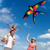 Accessoires de cerf-volant grand arc-en-ciel oiseau cerfs-volants 100m ligne gonflable Sports de plein air jouets volants pour enfants enfants plage 230426