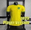 23 24 Maillots de football de la Jamaïque 2023 2024 Équipe nationale de maillot de football Bailey ANTONIO REID Nicholson LOWE MORRISON Chemise d'entraînement à domicile Chemise de football à manches courtes