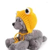 Vêtements de chien hiver chapeau tricoté automne et moyenne grande capuche coupe-vent chaud avec dreadlocks accessoires pour animaux de compagnie