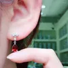 Stud Earrings Temperament Full Of Diamond Water Drop Shape Simulation Ruby Long Female Jewelry