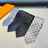 MENS TIE Luxury Slipsan Damier Quiltade slipsar Plaid Designer Tie Silk Black Blue White Red Gird Ties With Box