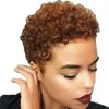 Synthetic Wigs Wig Women's Small Curly Head Cover Black Short Curly Head Cover Rose Net High Temperature Silk Wig