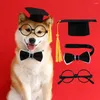 Hundkläder Lovely Pet Graduation Hat Felt Suit Justerbar kattkrage Glasögon Set Cosplay Decorative
