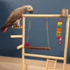Zit Parrots Parrots Playground Natural Wooden Parrot Parch Gym Play Stand Parakeet Ladders met feederbekers en speelgoedbeweging spelen
