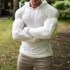 Erkek Sweaters Eğitimi Dip Tuvey Giyim Erkekler Spor T-Shirt Şık Şık İnce Fit Kapşonlu Uzun Kollu Külot Salyaçlar İçin Üstler